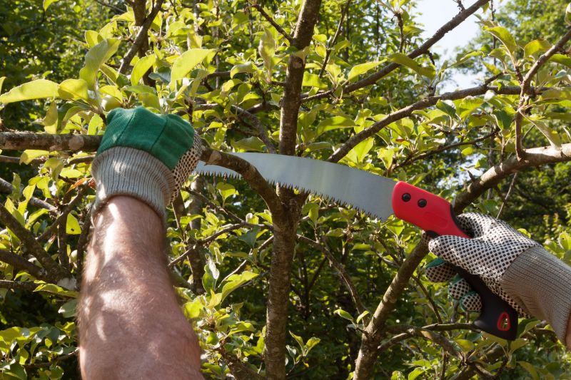 Arborist Pruning