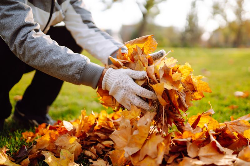 Collected Leaves Piled Up