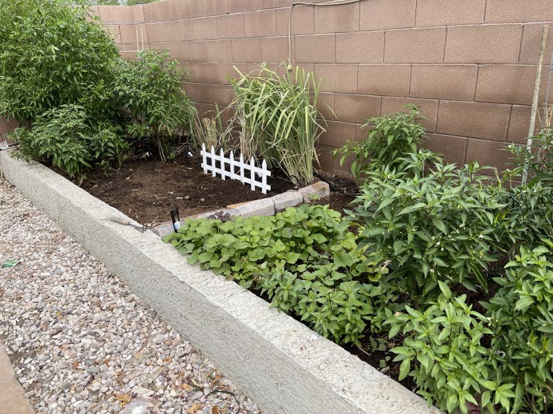 Landscaping Edging Service