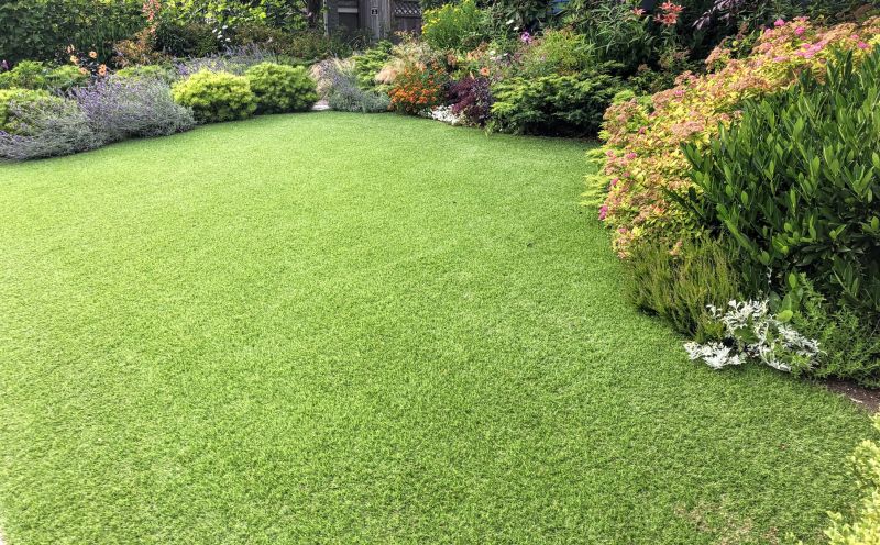 Lawn and Turf Installation