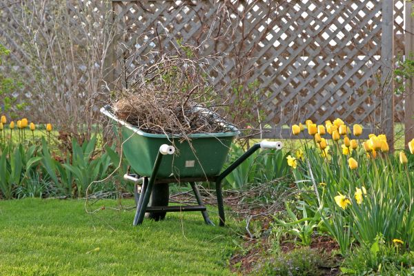Flower Bed Cleanup Service in Estero