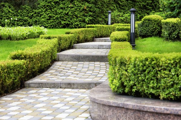 Backyard Remodeling in Estero