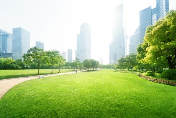 Commercial Landscape Maintenance in Estero