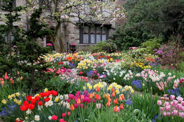 Garden Maintenance Service in Estero