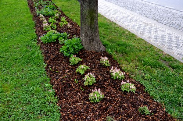 Mulch Replacement Service in Estero