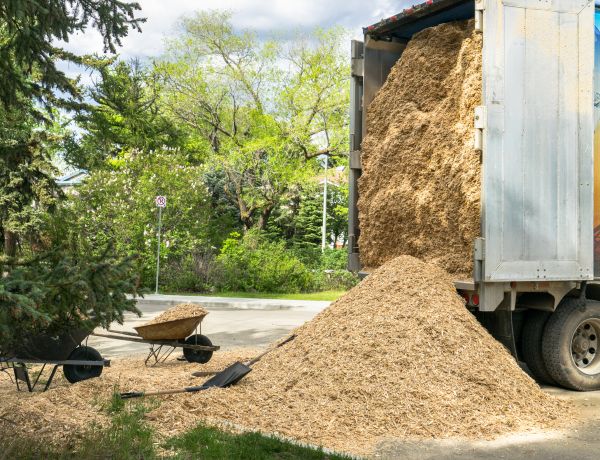 Wood Chips Delivery in Estero