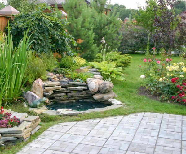 Yard Renovation in Estero