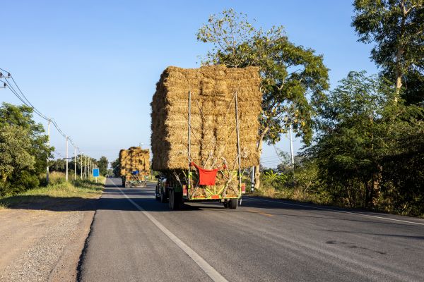 Pine Straw Delivery in Estero