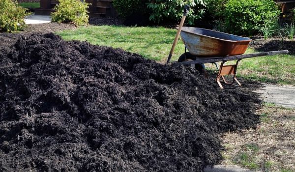 Black Mulch Delivery in Estero