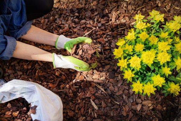 Garden Mulching in Estero