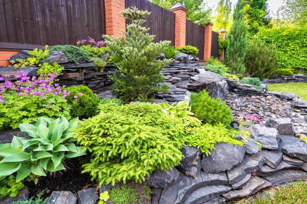 Landscape Remodeling in Estero