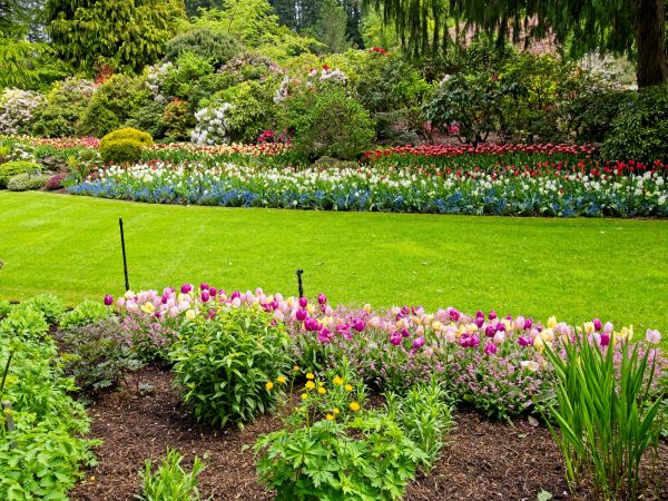 Residential Landscape Design in Estero