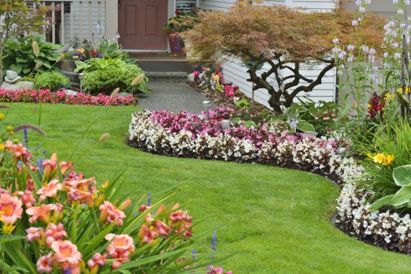 Perennial Landscaping in Estero