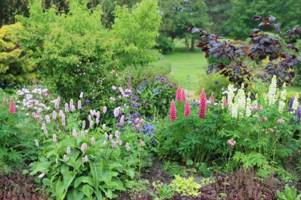Flower Bed Planting in Estero