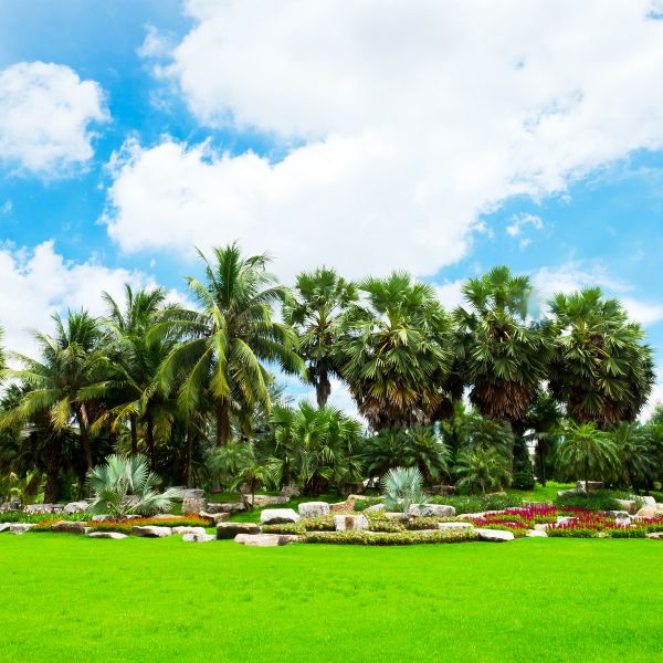 Tropical Landscaping in Estero