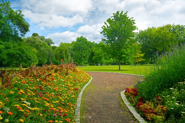 Park Landscaping in Estero