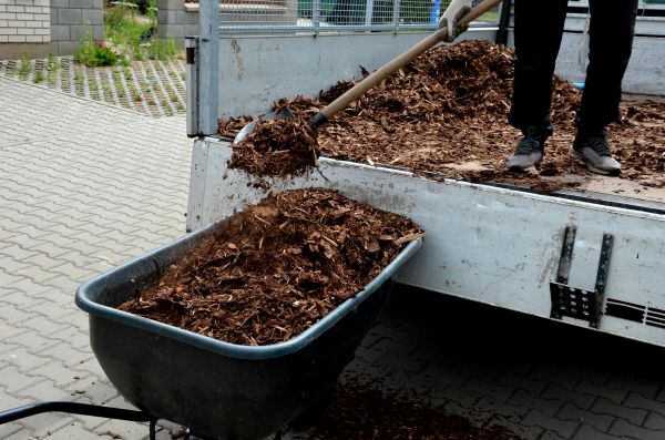 Cypress Mulch Delivery in Estero