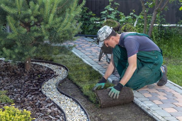 Landscaping Modification in Estero