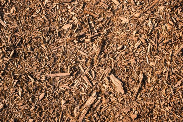 Wood Chips Removal in Estero