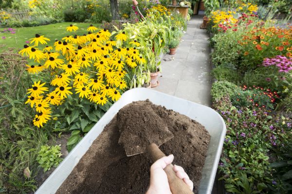 Topsoil Replacement in Estero
