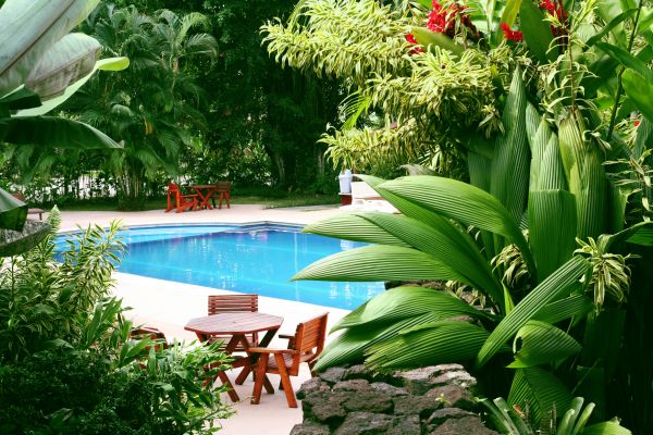 Pool Area Landscaping in Estero