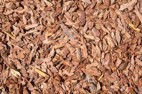 Pine Mulch Spreading in Estero