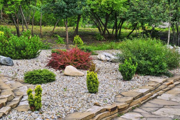 Hardscape Landscaping in Estero