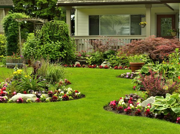 Flower Garden Planting in Estero