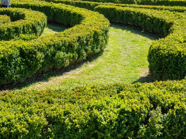 Bush Landscaping in Estero