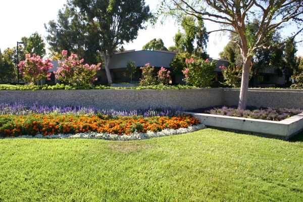 Commercial Landscape Service in Estero