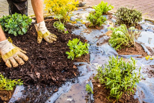 Mulch Fabric Installation in Estero