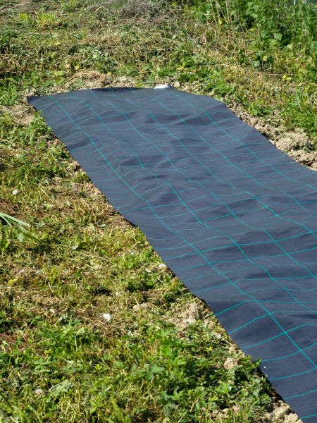 Weed Suppressant Installation in Estero