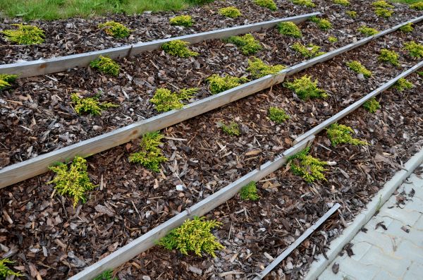 Mulch Barrier Installation