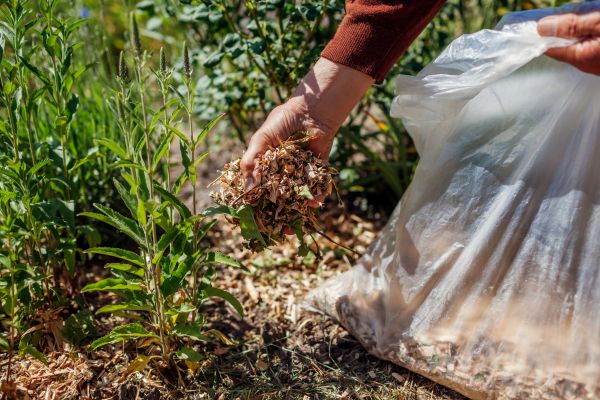 Wood Mulch Installation in Estero