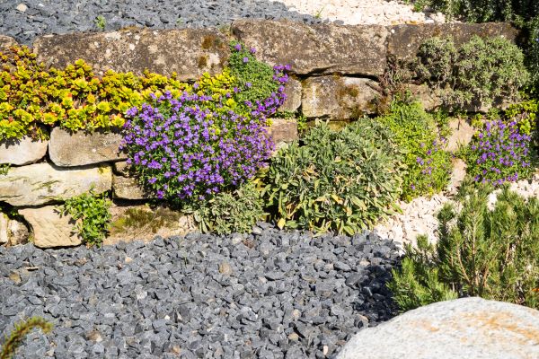 Landscaping Rocks Installation in Estero