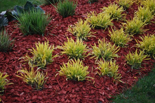 Red Mulch Installation in Estero