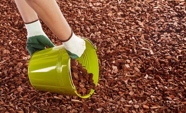 Wood Chip Landscaping in Estero
