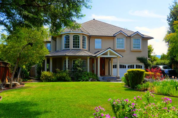 Large Yard Landscaping in Estero