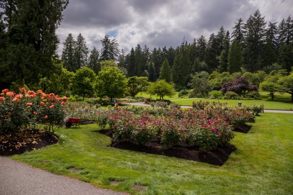 Flower Garden Landscaping in Estero