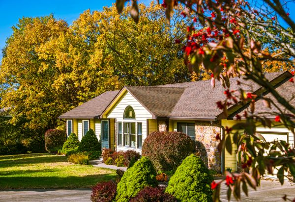 Ranch Landscaping in Estero