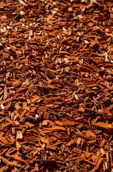 Cedar Mulch Spreading in Estero