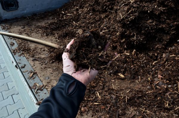 Condo Mulching in Estero