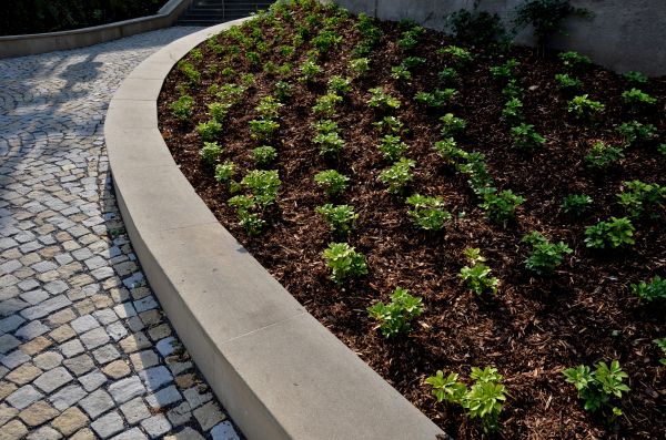 Commercial Mulching in Estero