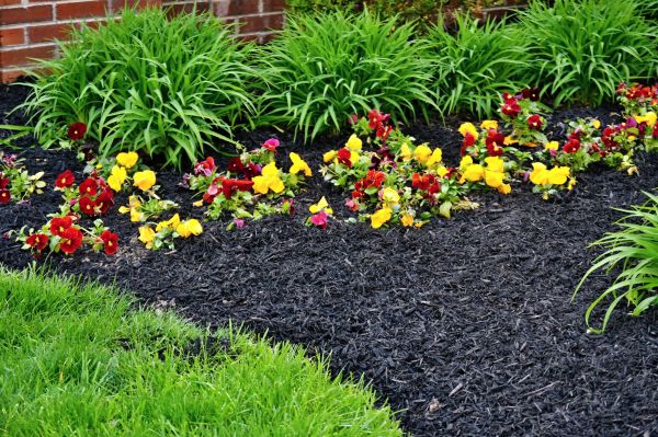 Apartment Mulching in Estero